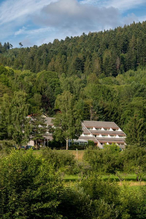 Village Vacances Le Mongade Plainfaing Exterior photo